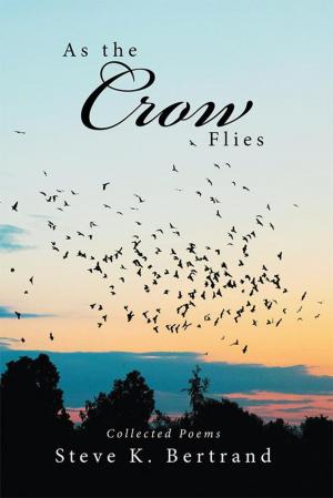 Cover of the book As the Crow Flies by Cheryl-Ann Wallace