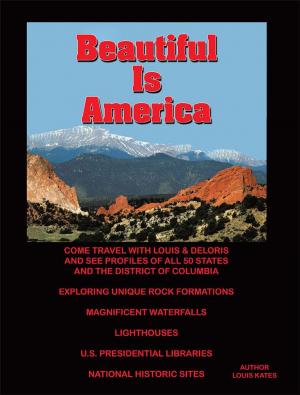 Cover of the book Beautiful Is America by Colin Forbes