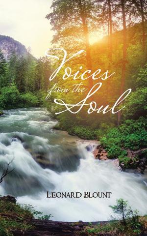 Cover of the book Voices from the Soul by Wim Baren