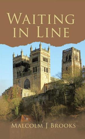 Book cover of Waiting in Line