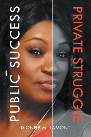 Cover of the book Public Success, Private Struggle by Kate Christmas
