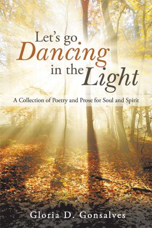 Cover of the book Let’S Go Dancing in the Light by Dan Mou