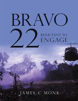 Cover of the book Bravo 22 by Allen Frank McNair