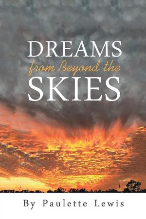 Cover of the book Dreams from Beyond the Skies by Jan Tucker Mulligan