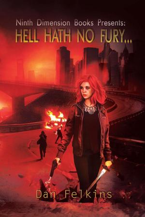 Cover of the book Hell Hath No Fury by Richard Anders