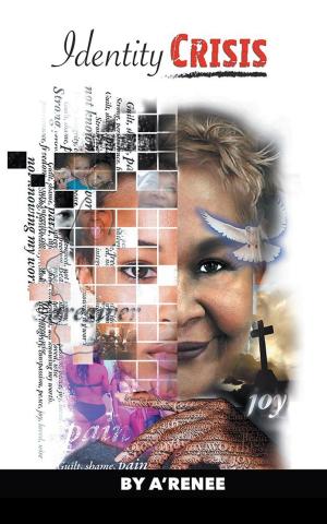 Cover of the book Identity Crisis by Vallyn Bernard