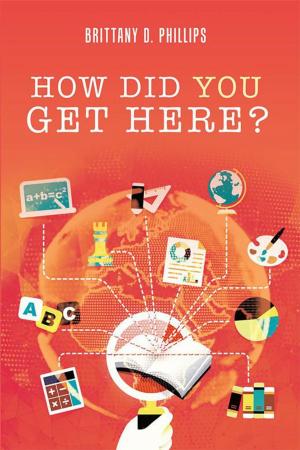 Cover of the book How Did You Get Here? by Briana Rafferty