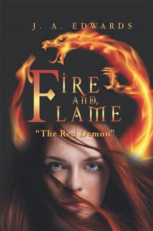 Book cover of Fire and Flame