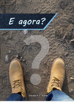 Cover of the book E agora? by Marcelo de Oliveira  Souza