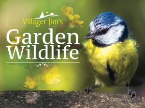 Cover of the book Villager Jim's Garden Wildlife by Tim  Hillier-Graves