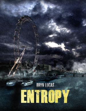 Cover of the book Entropy by Michelle de Villiers