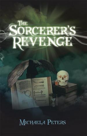 Cover of the book The Sorcerer's Revenge by Bob Litt