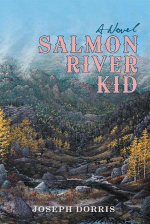 Cover of the book Salmon River Kid by L'trece Ann Worsham