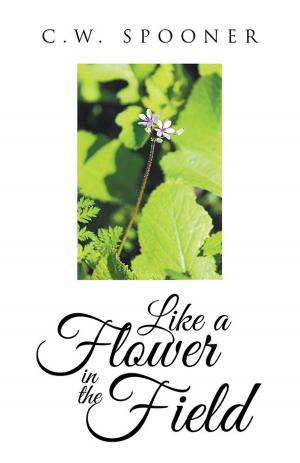Book cover of Like a Flower in the Field