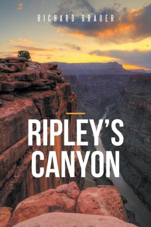 Cover of the book Ripley’S Canyon by Marian Armstrong