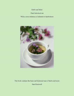 Cover of the book Herbs and More Their historical use by Delphine Touzet