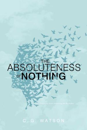 Cover of the book Absoluteness of Nothing by Meg Leder