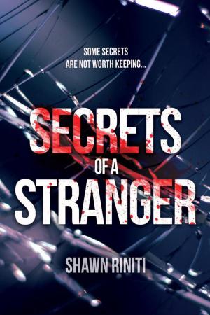 Cover of the book Secrets of a Stranger by Greg Saunders