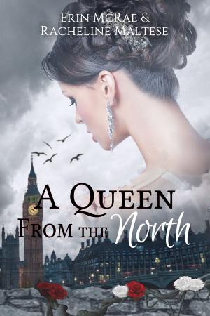 Cover of the book A Queen from the North by Erin McRae