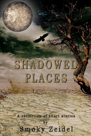 Cover of the book Shadowed Places: A collection of short stories by Smoky Zeidel
