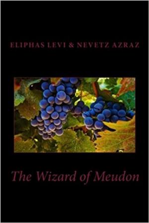 Cover of the book The Wizard of Meudon by Anne Spencer Parry
