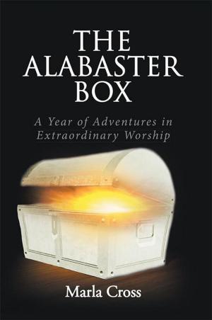 Cover of the book The Alabaster Box by Sharalee Marie Sheperd Washington