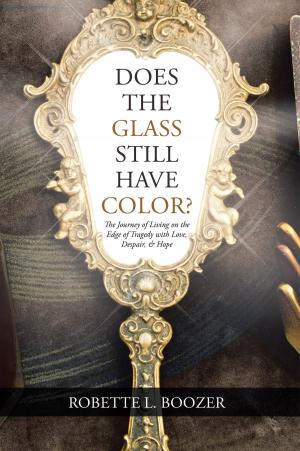 Cover of the book Does the Glass Still Have Color? by Rachel Collins