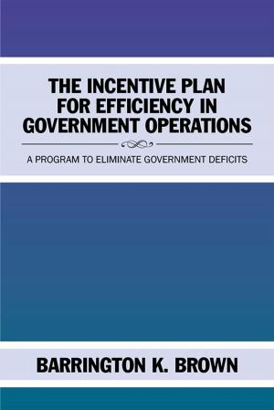Cover of the book The Incentive Plan for Efficiency in Government Operations by Dr. Hudson A. Williams