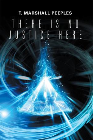 Cover of the book There Is No Justice Here by Yvonne B. Kane