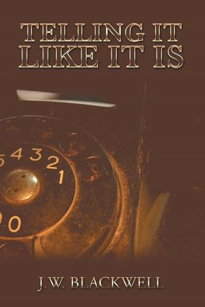 Cover of the book Telling It Like It Is by Edward Maher