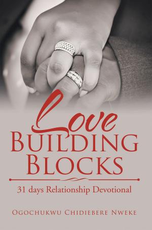 Cover of the book Love Building Blocks by Daniel Alvarez
