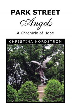 Cover of the book Park Street Angels by Aaron Anastasi