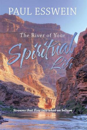 Cover of the book The River of Your Spiritual Life by “The Goddess”