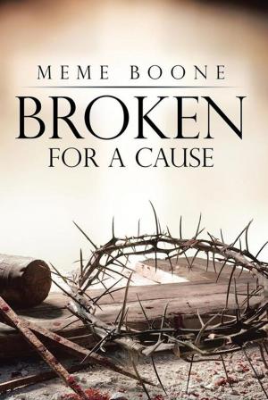 Cover of the book Broken for a Cause by Efroni Schlesinger