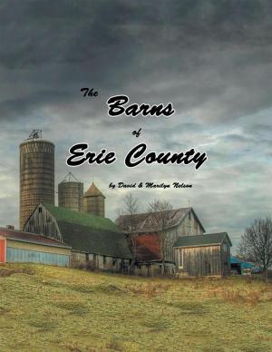 Cover of the book The Barns of Erie County by David Allen Goodwin