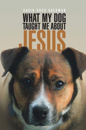 Cover of the book What My Dog Taught Me About Jesus by Karen Kropf