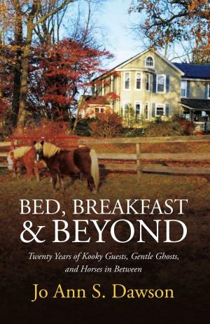 Cover of the book Bed, Breakfast & Beyond by Charles E. Eromosele