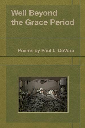 Cover of the book Well Beyond the Grace Period by M J Lumbert