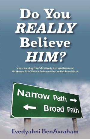 Cover of the book Do You Really Believe Him? by Petrus J. Blank