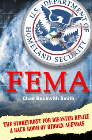 Book cover of FEMA