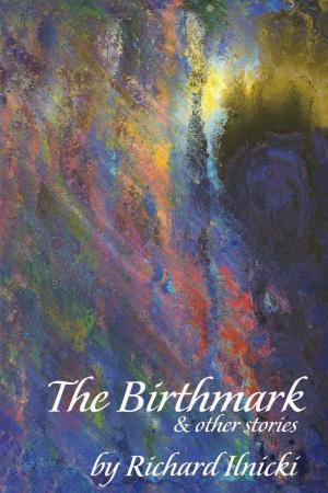 Cover of the book The Birthmark by Patricia King