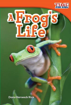bigCover of the book A Frog's Life by 