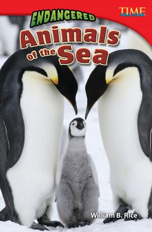 Cover of Endangered Animals of the Sea
