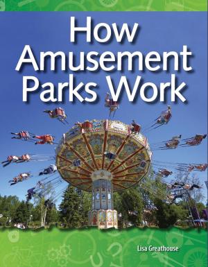 Cover of the book How Amusement Parks Work by D'Alessandro Cathy, Hoffmeister Noelle