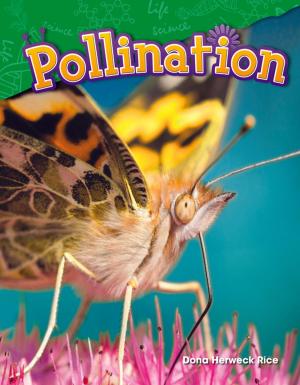 Cover of the book Pollination by Jennifer Overend Prior