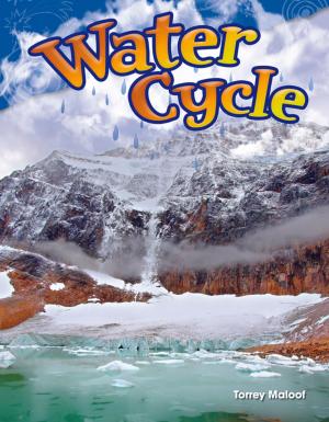 bigCover of the book Water Cycle by 