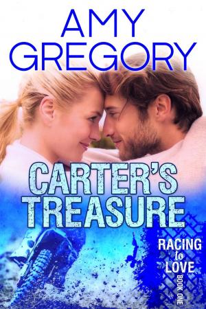 Cover of the book Carter's Treasure by Robert J. Gordon
