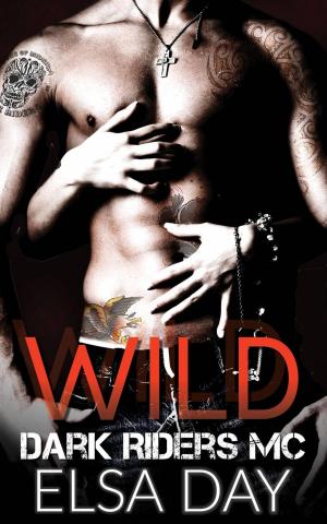 Cover of the book Wild (Dark Riders Motorcycle Club Vol. 1) by B.A. Shapiro