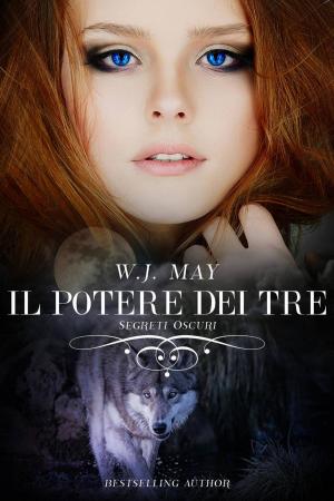 Cover of the book Il Potere dei Tre by A.P. Hernández