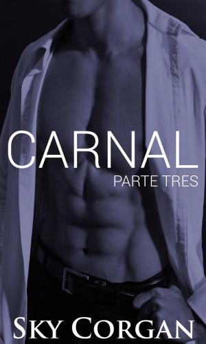 Book cover of Carnal: Parte Três